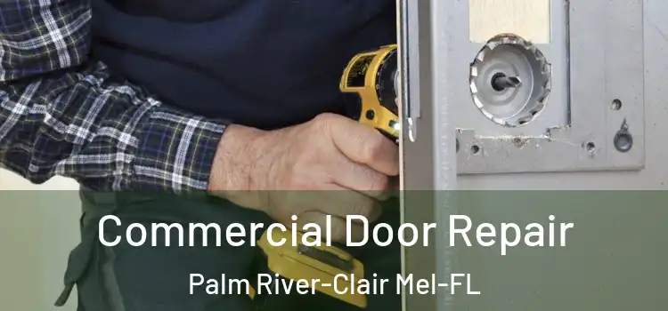 Commercial Door Repair Palm River-Clair Mel-FL