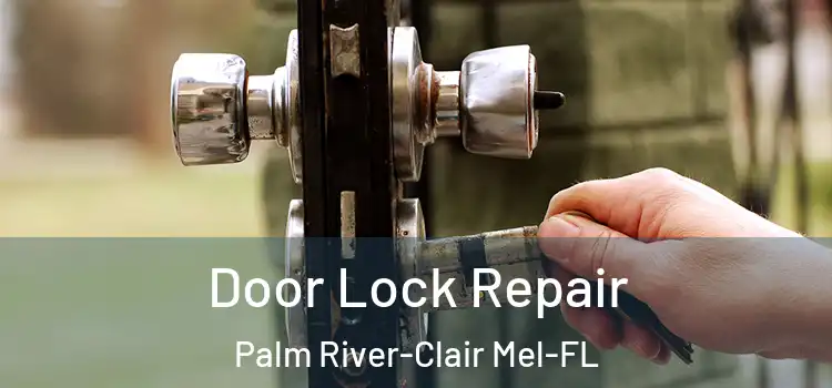 Door Lock Repair Palm River-Clair Mel-FL